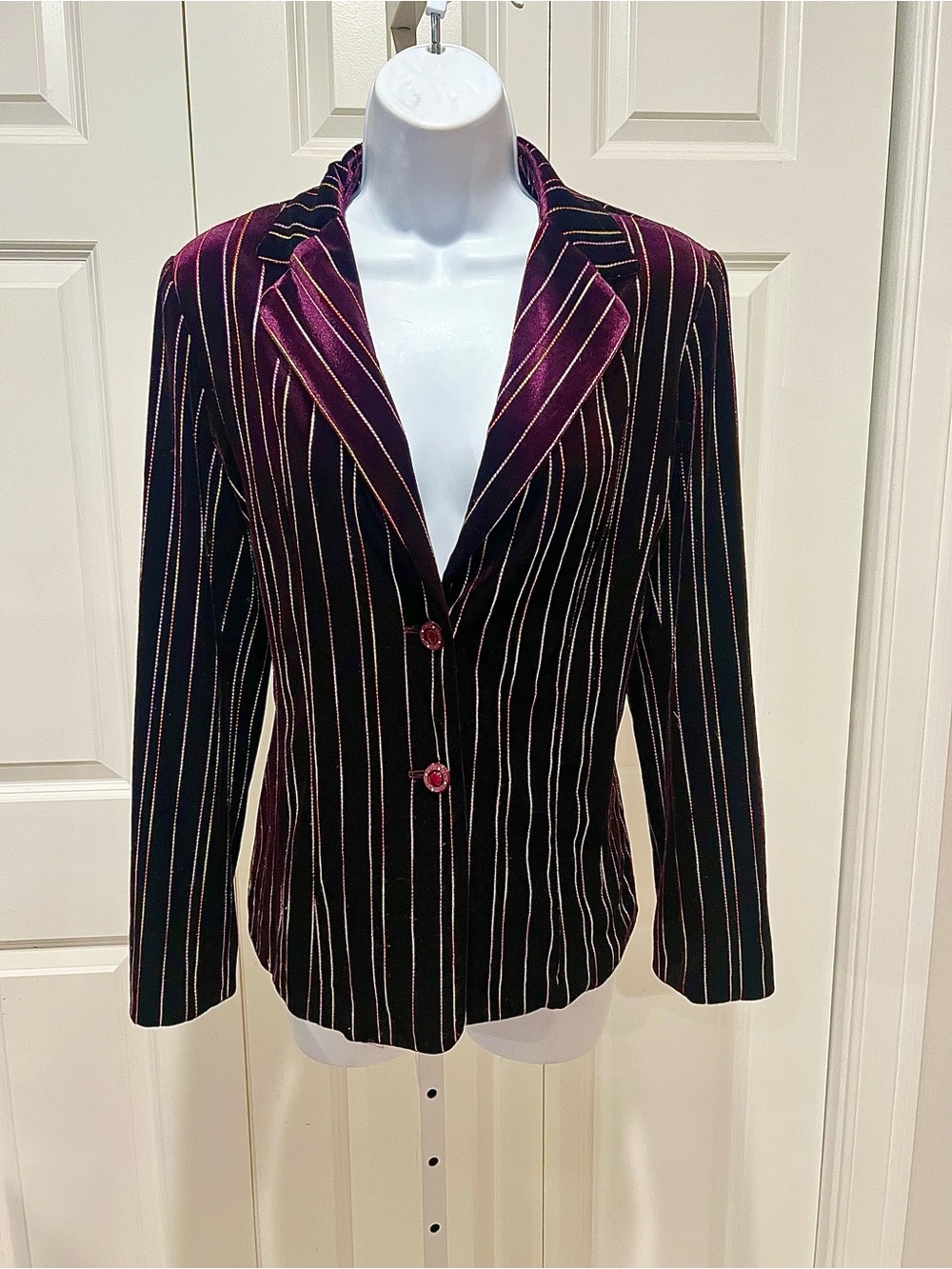 Velvet Pinstripe Blazer in Burgundy and Black
